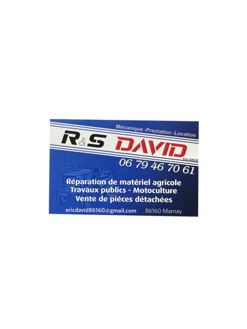 RS DAVID